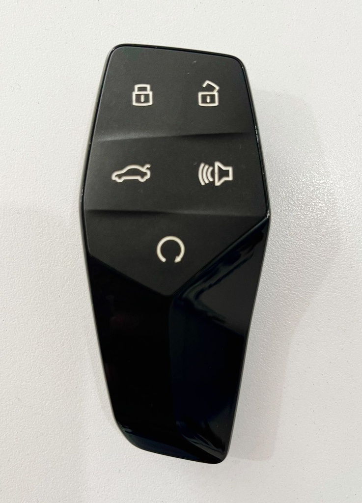 Smartkey MG One Tpu