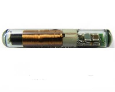 [AK-10-20] Chip Ford Focus 1999-2004 Tp06 O 4D Ecos